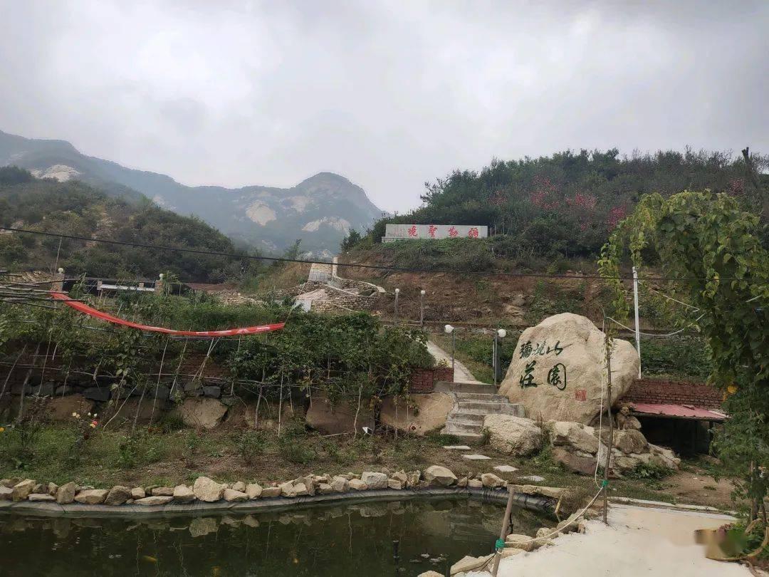 植物大战僵尸5